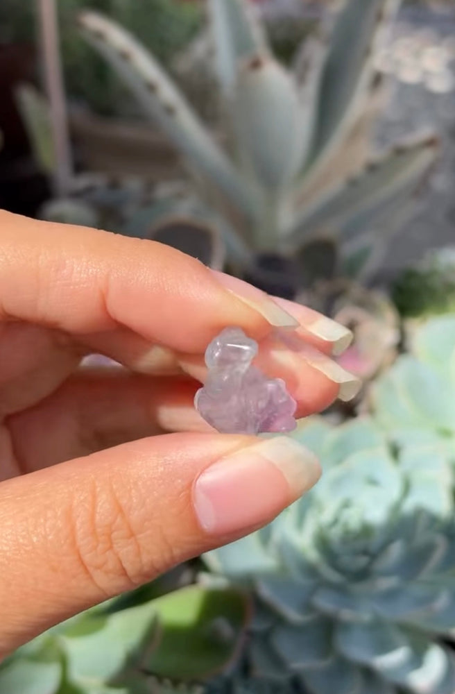 
                  
                    RESERVED LISTING - leftoverlexapro
                  
                