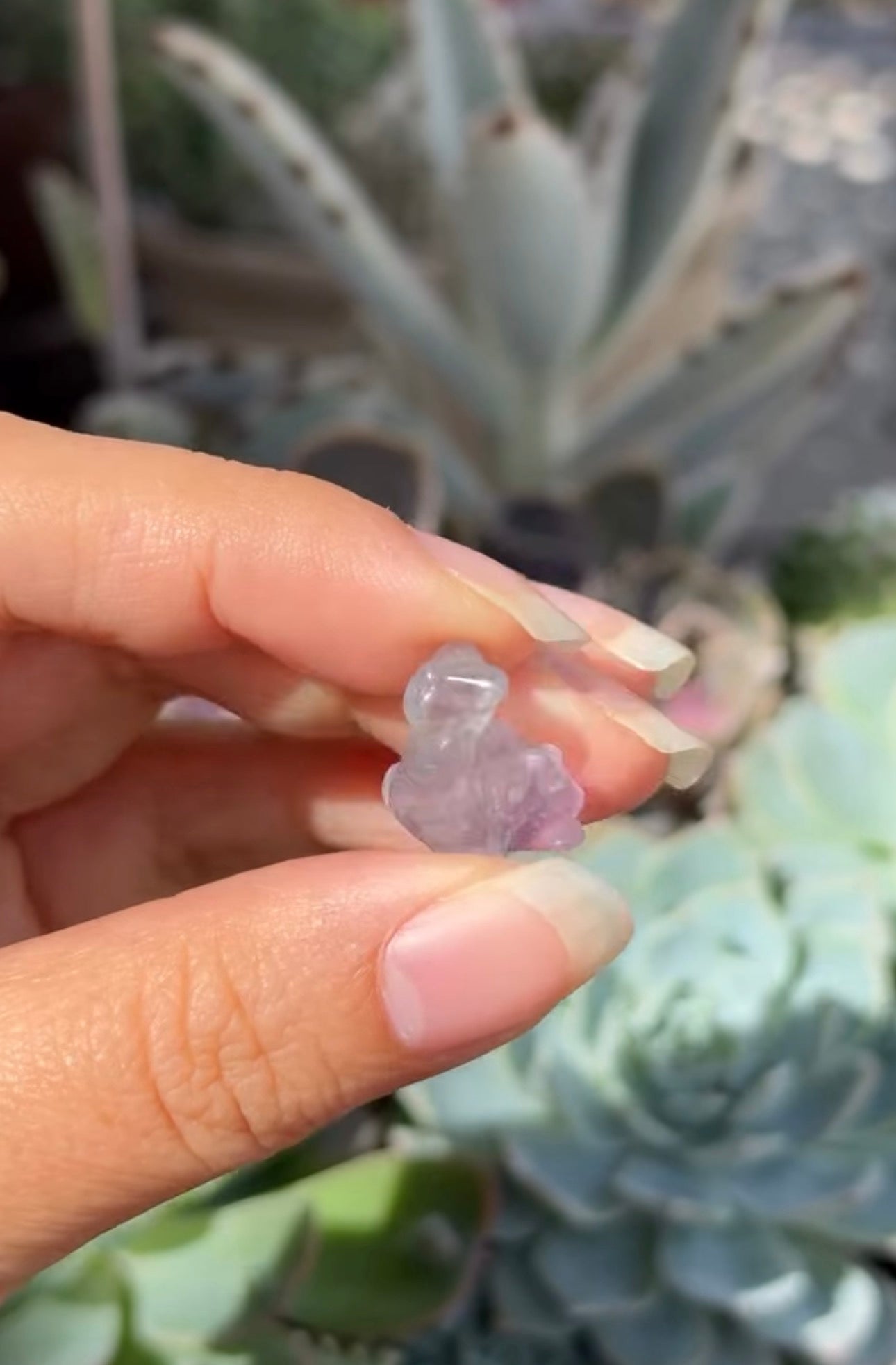 
                  
                    RESERVED LISTING - leftoverlexapro
                  
                