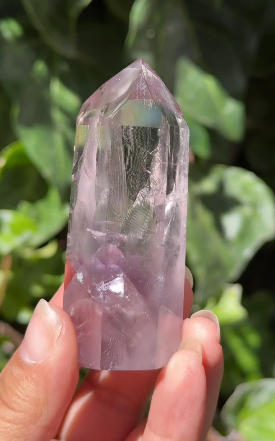 
                  
                    RESERVED LISTING - zombieboy69
                  
                