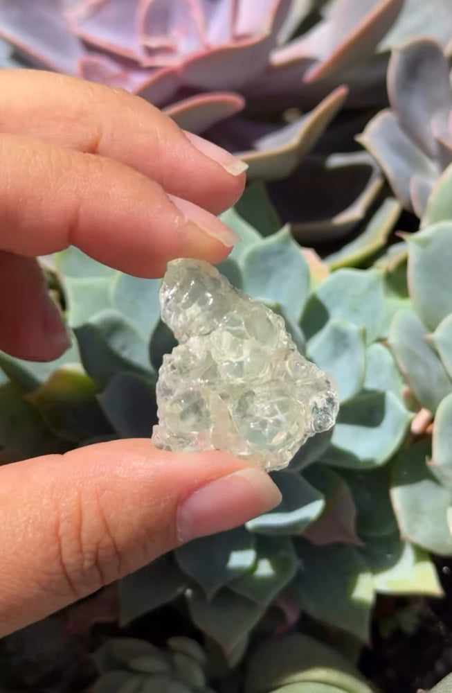 
                  
                    RESERVED LISTING - lex.5001
                  
                