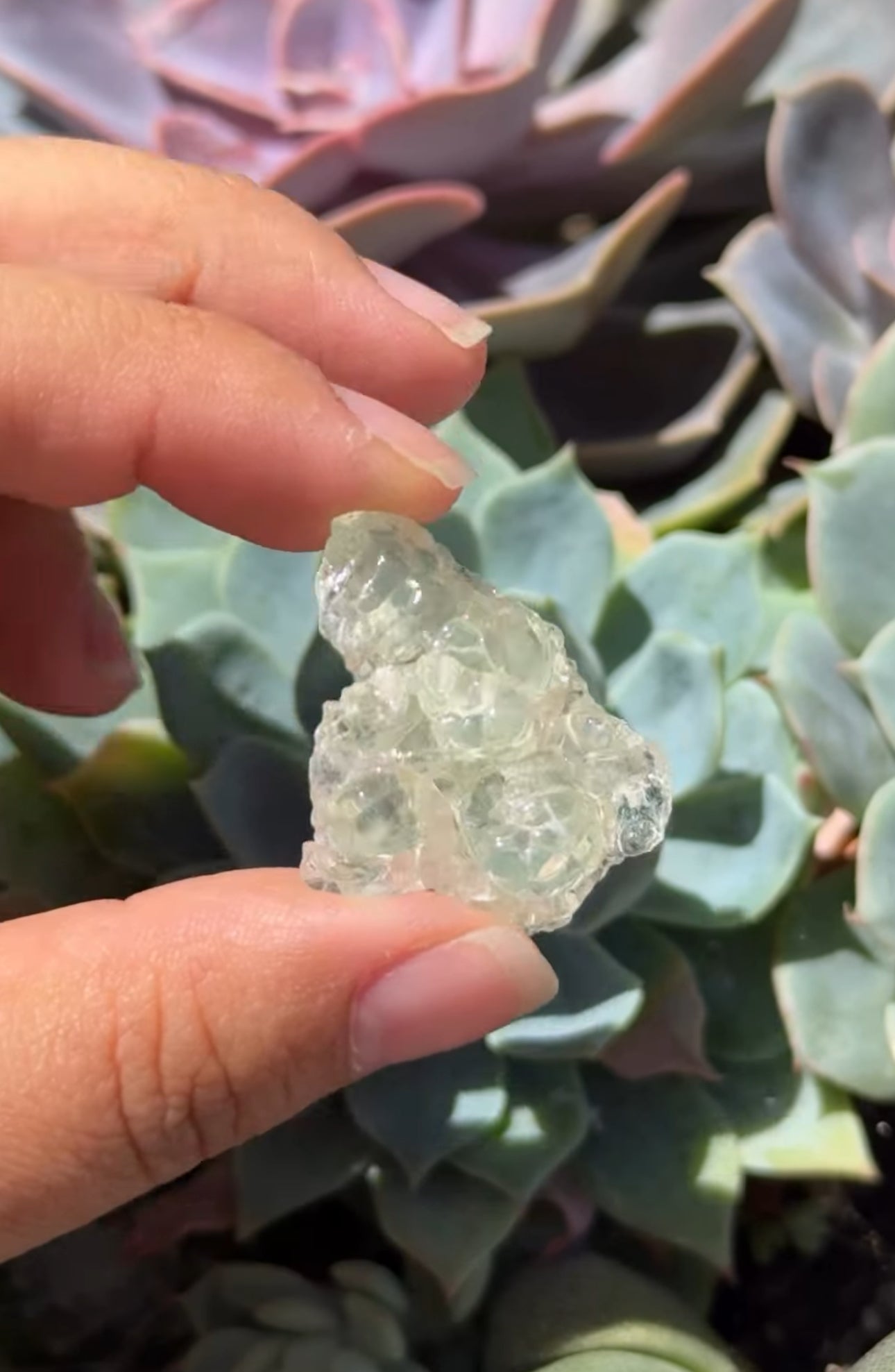 
                  
                    RESERVED LISTING - lex.5001
                  
                