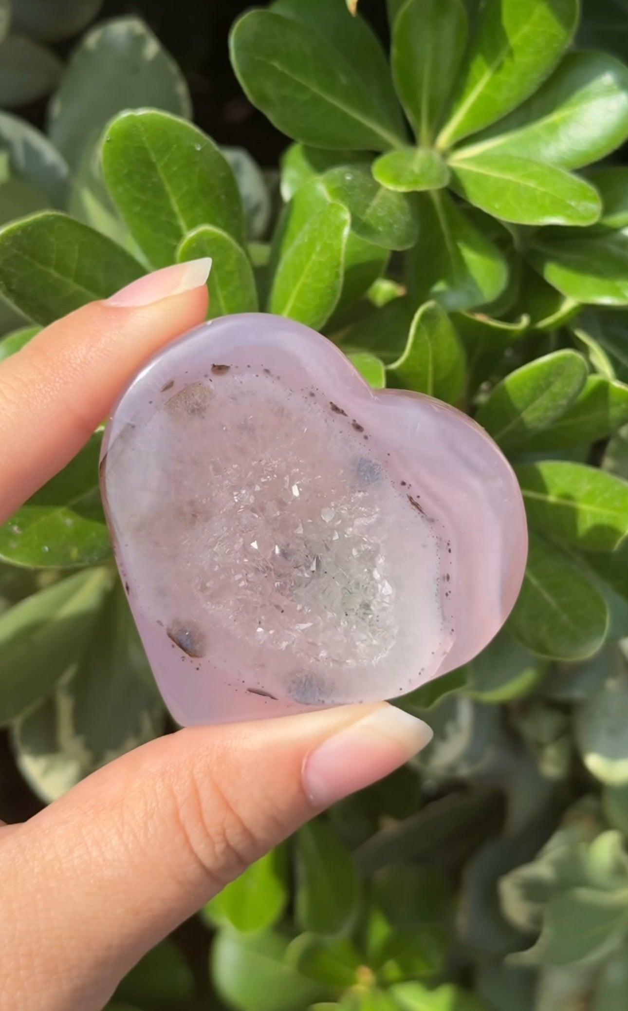 
                  
                    RESERVED LISTING - c_genesisallison87
                  
                