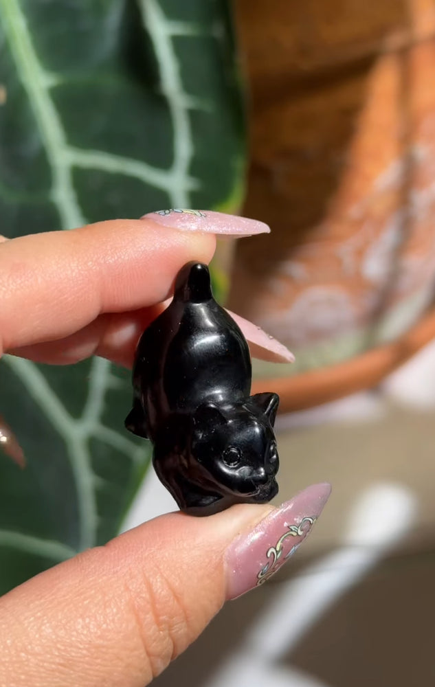 
                  
                    RESERVED LISTING - cindyr1776
                  
                