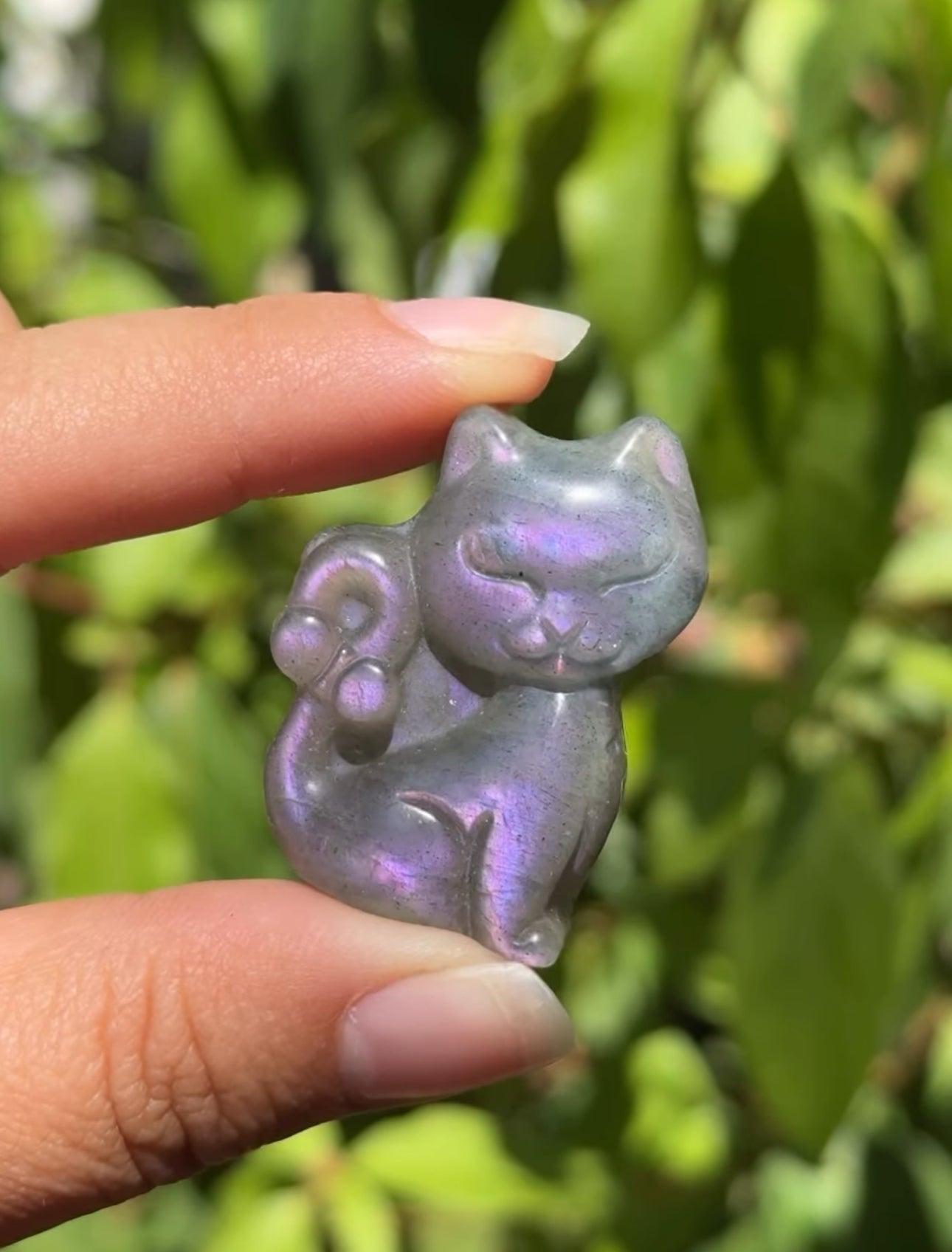 
                  
                    RESERVED LISTING - theechoesofallen
                  
                