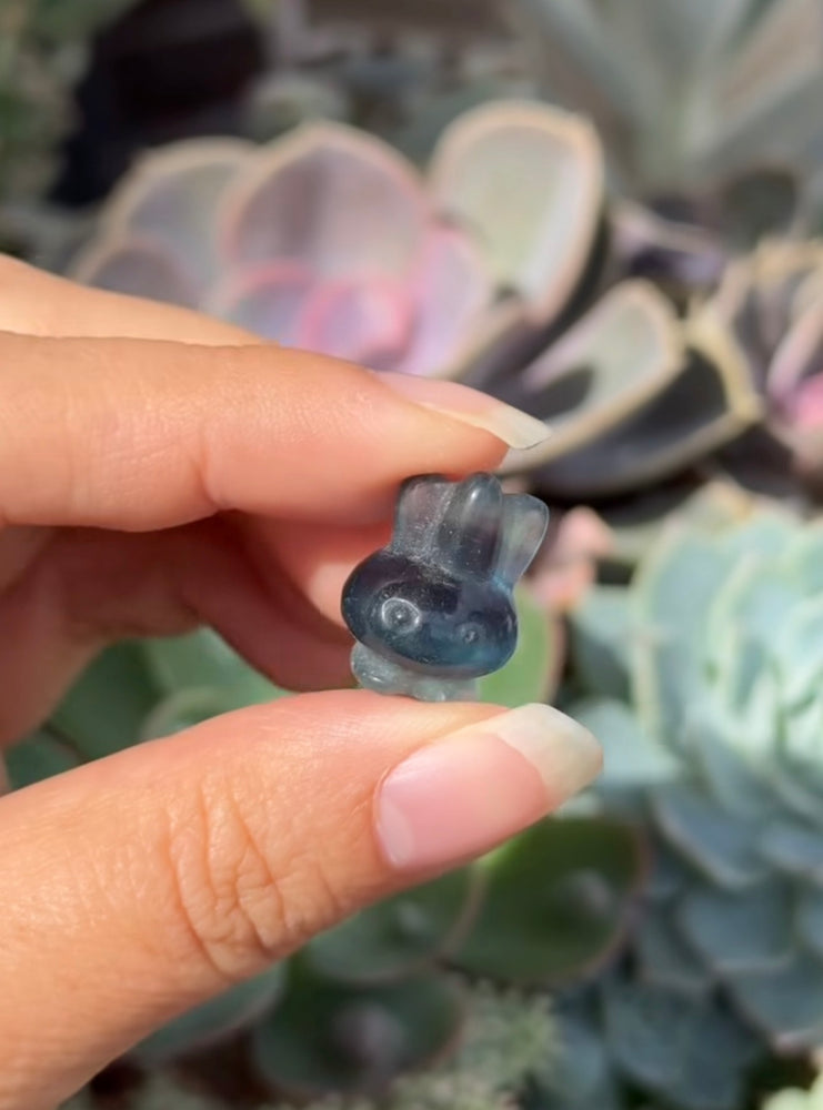 
                  
                    RESERVED LISTING - leftoverlexapro
                  
                