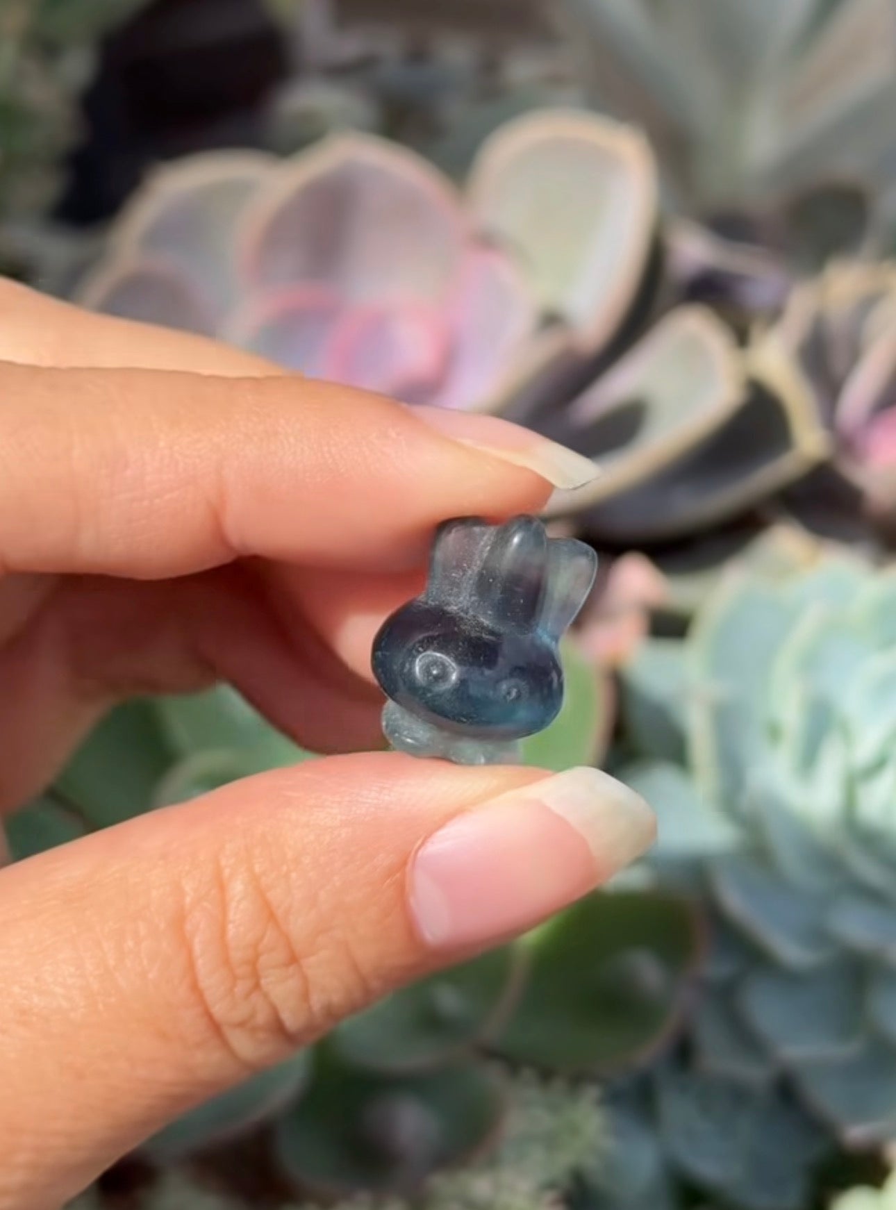 
                  
                    RESERVED LISTING - leftoverlexapro
                  
                