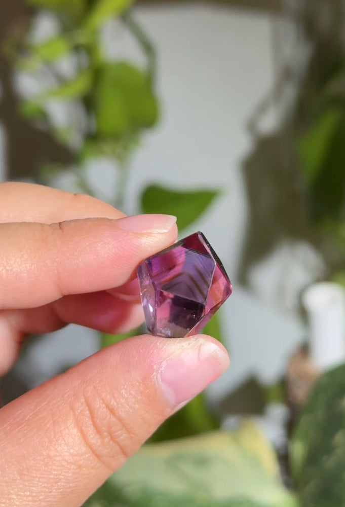 
                  
                    RESERVED LISTING - jval
                  
                