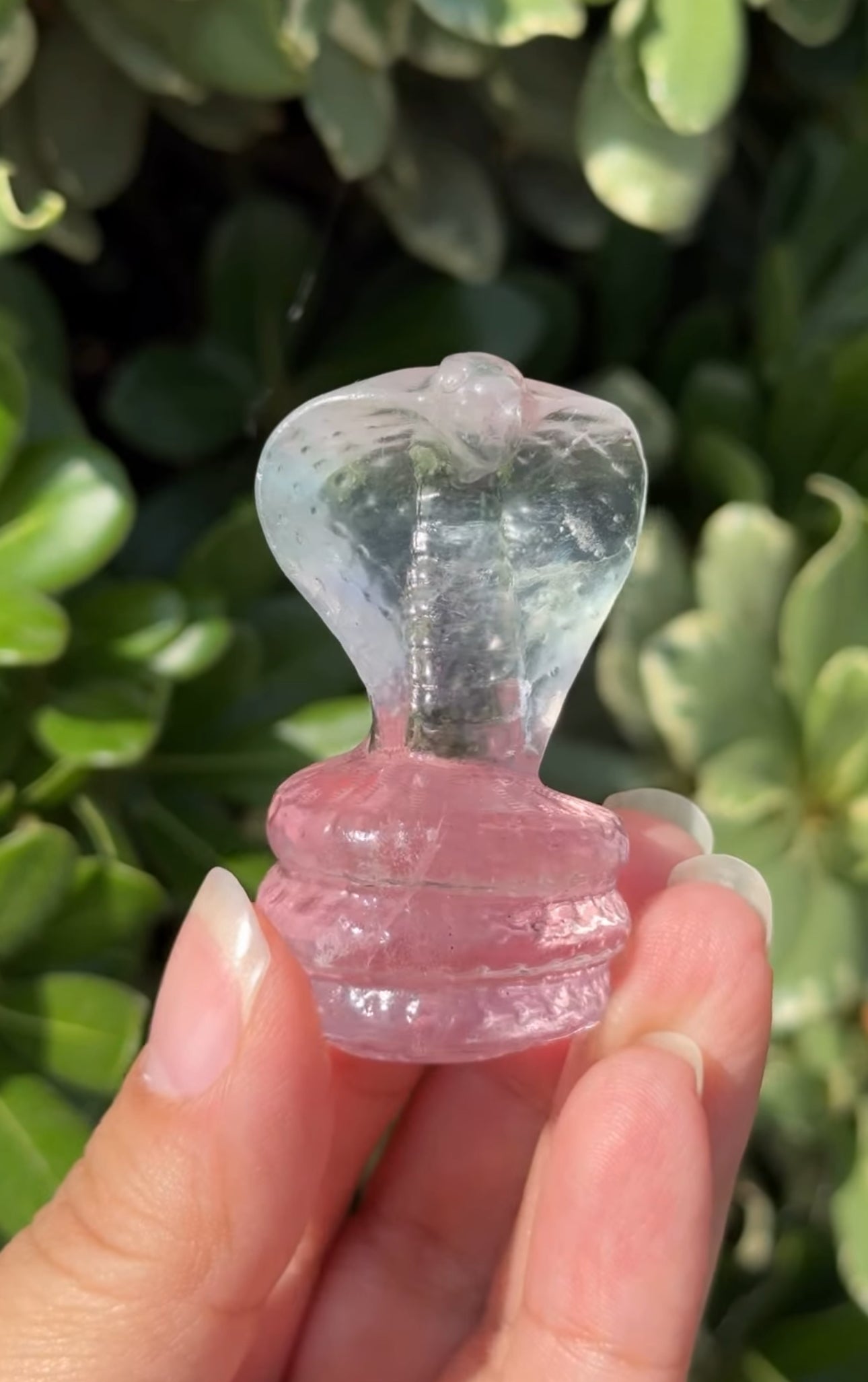 
                  
                    RESERVED LISTING - leftoverlexapro
                  
                