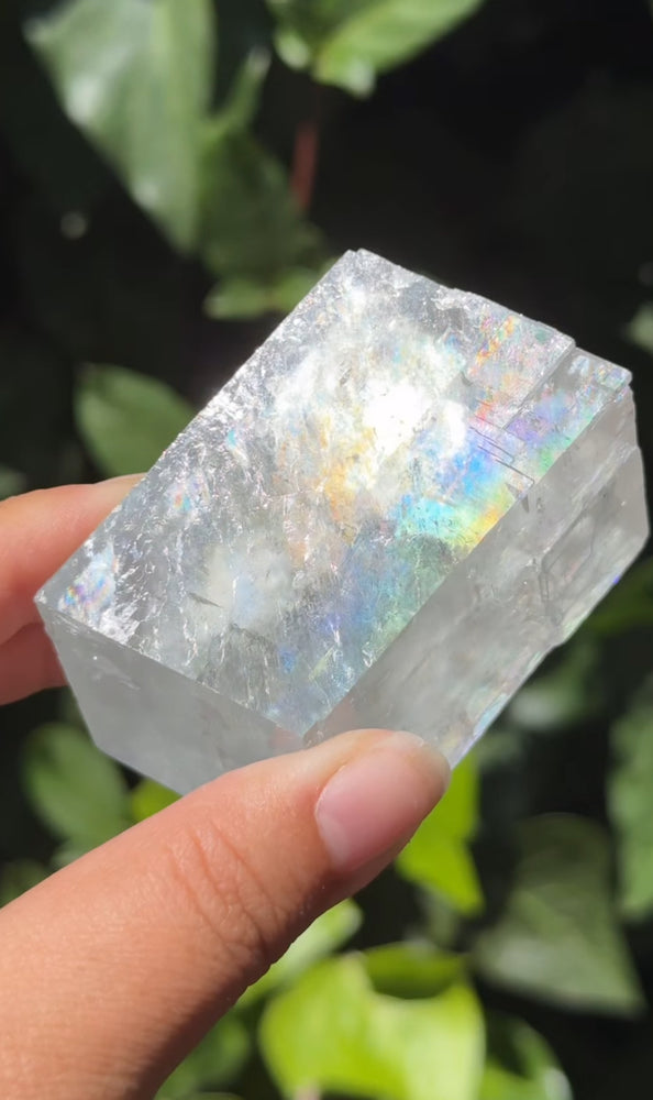 
                  
                    RESERVED LISTING - jval
                  
                