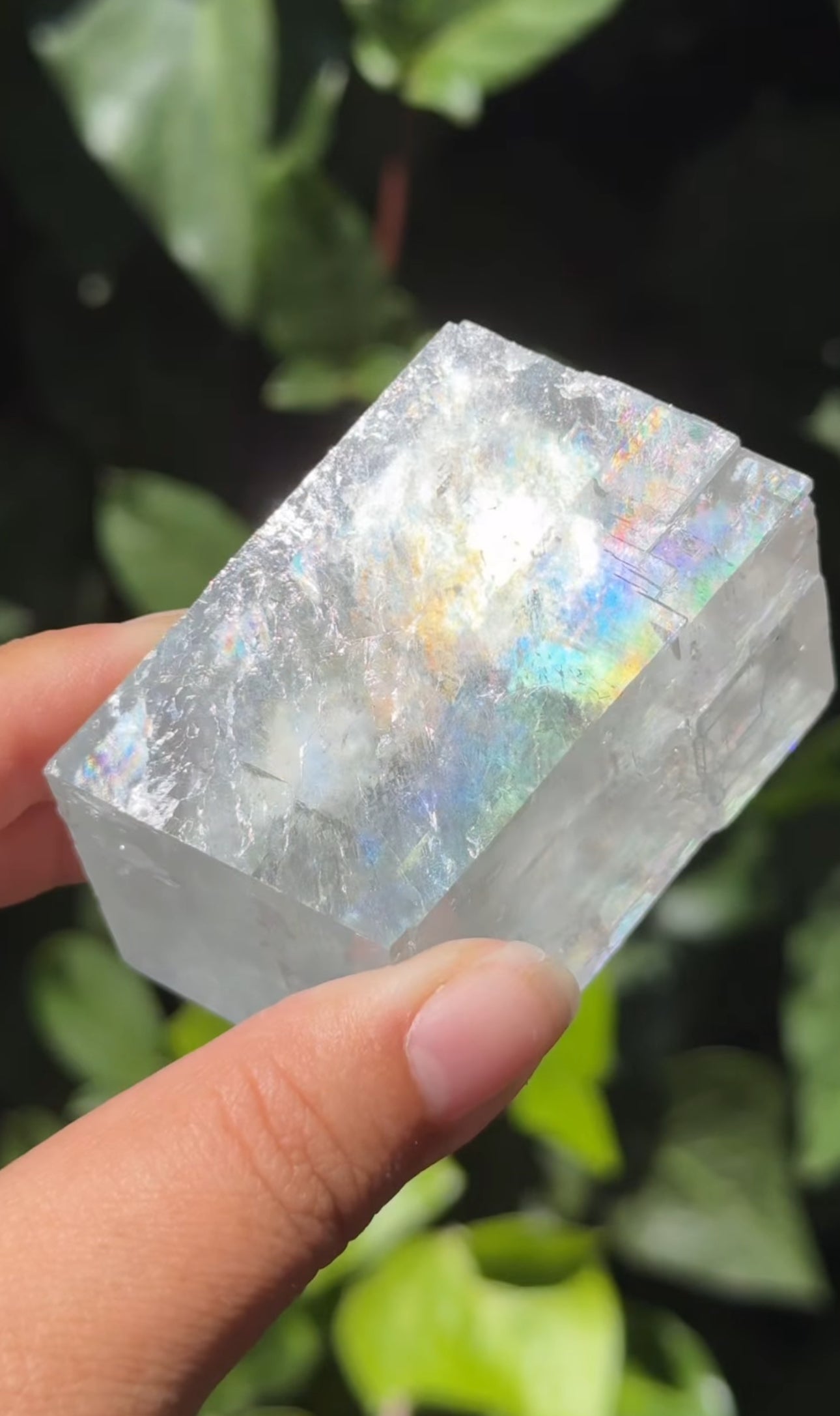 
                  
                    RESERVED LISTING - jval
                  
                