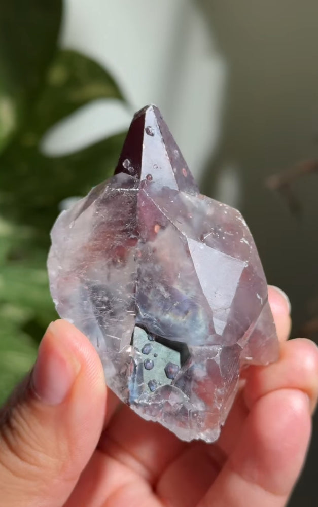 
                  
                    RESERVED LISTING - caylielynne
                  
                