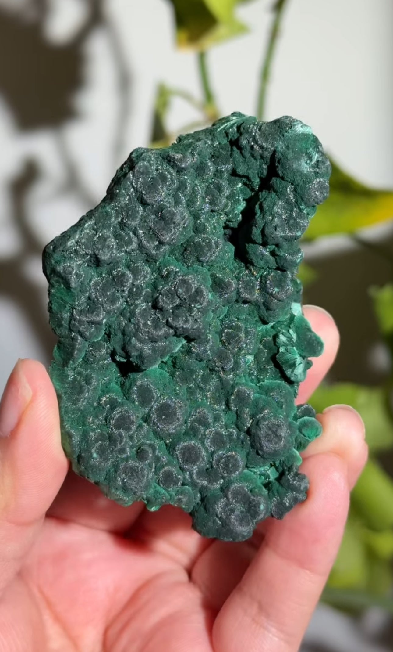 
                  
                    RESERVED LISTING - kelli_dmar
                  
                