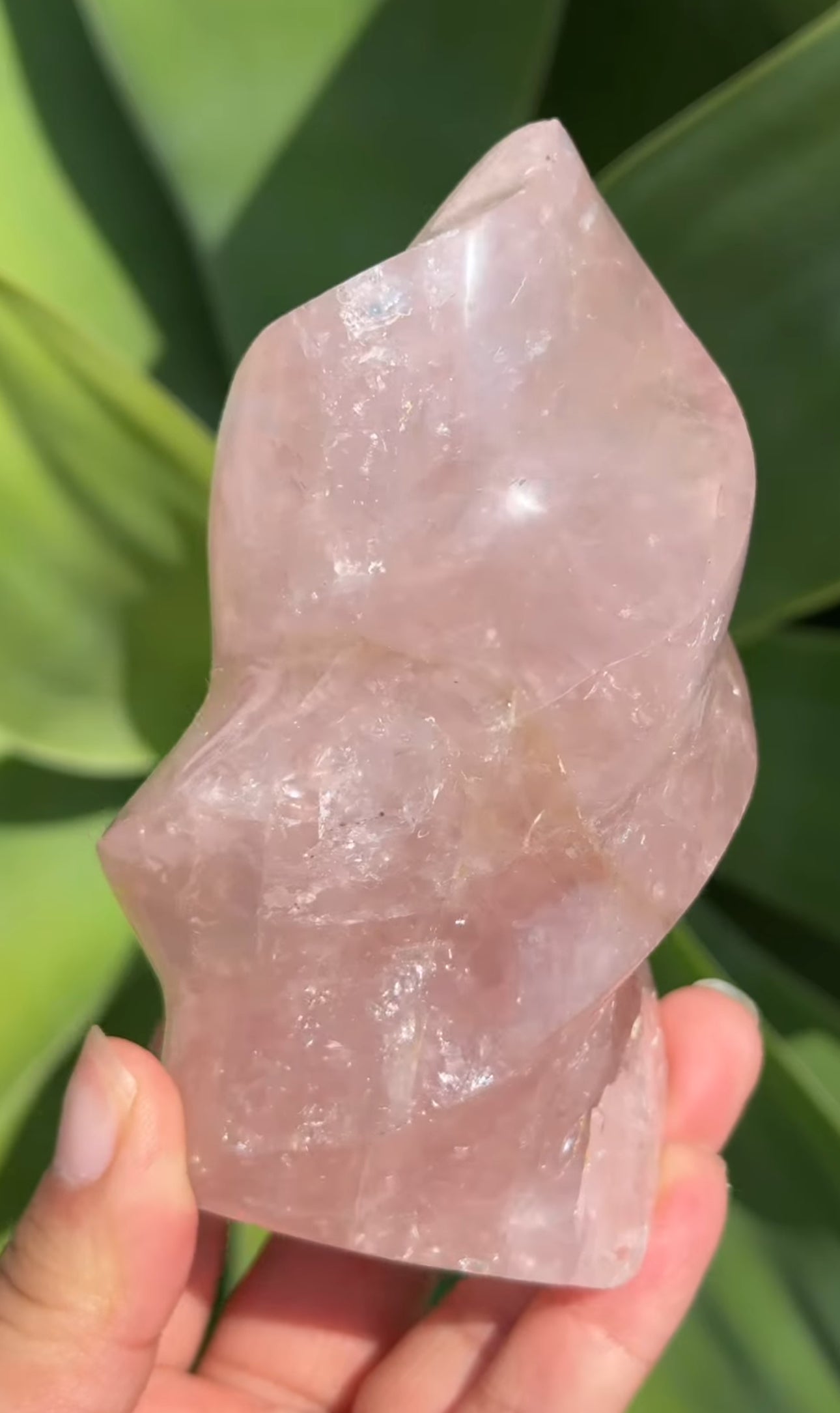 
                  
                    RESERVED LISTING - kc102620
                  
                