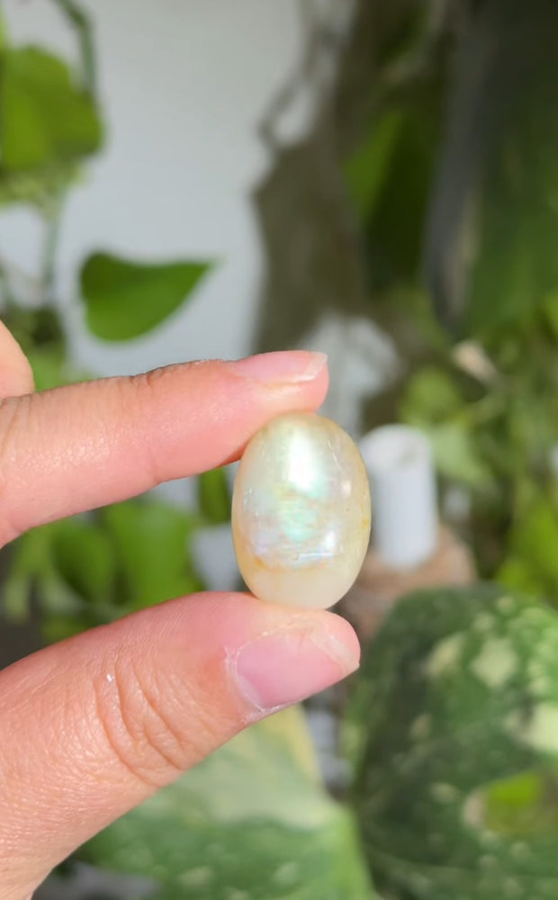 
                  
                    RESERVED LISTING - romae.aquino
                  
                