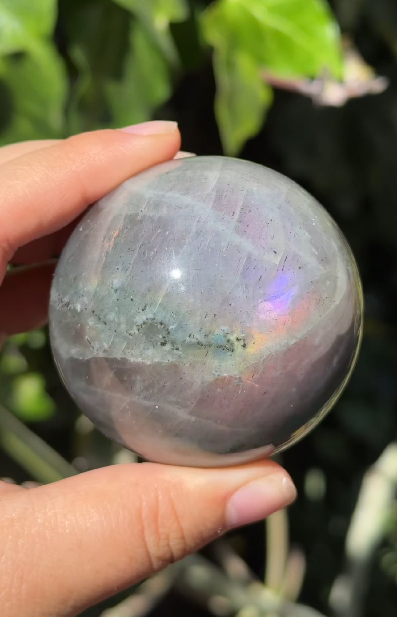 
                  
                    RESERVED LISTING - catniss_evergreen
                  
                