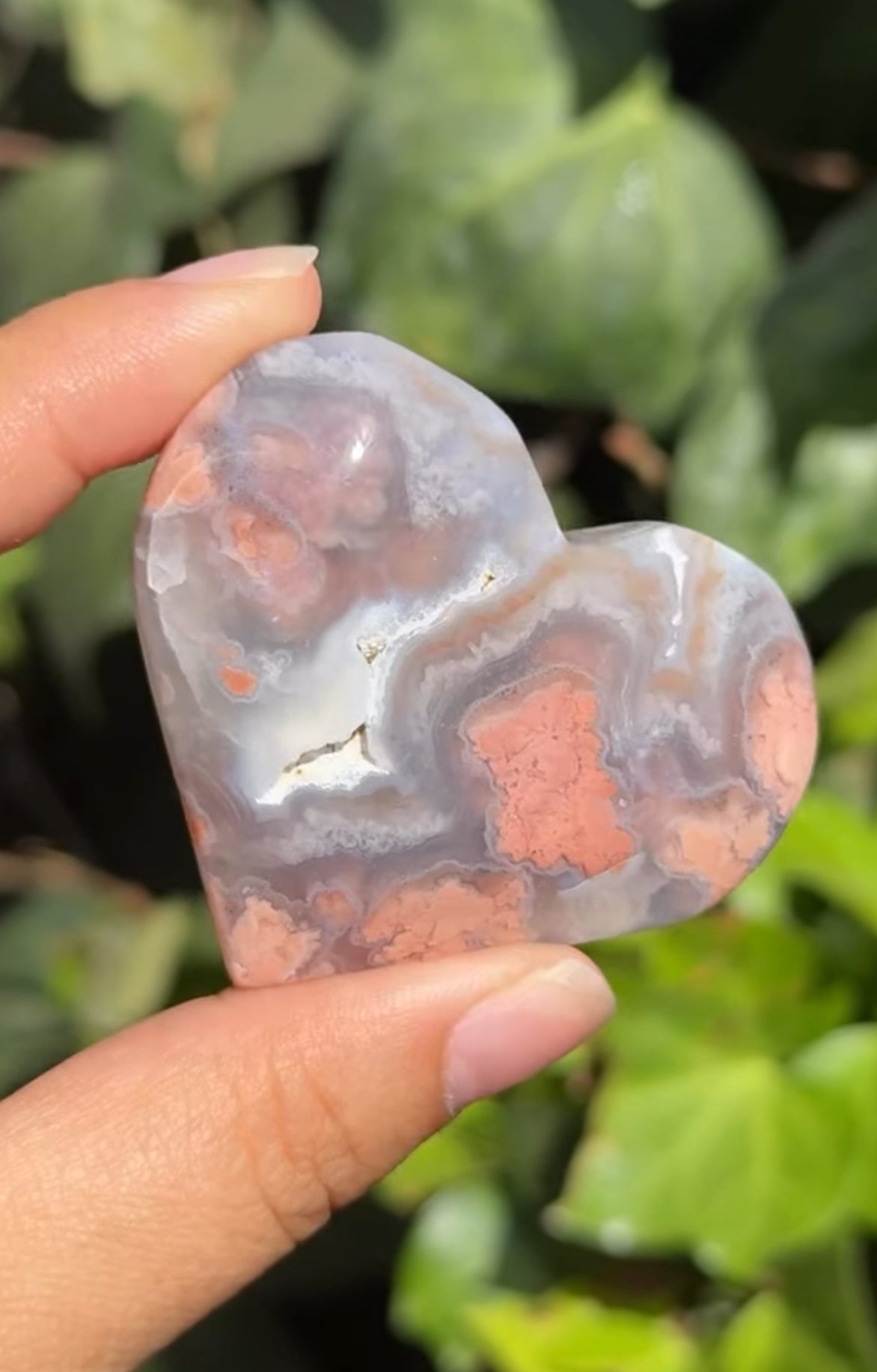 
                  
                    RESERVED LISTING - krystal.creature
                  
                