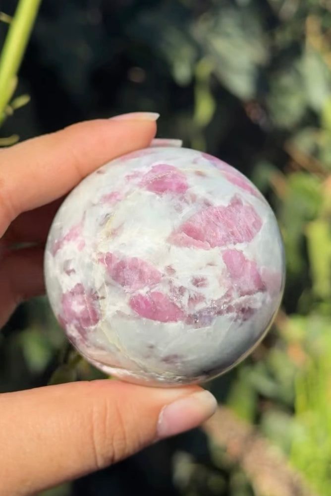 
                  
                    RESERVED LISTING - ghostofgabby
                  
                