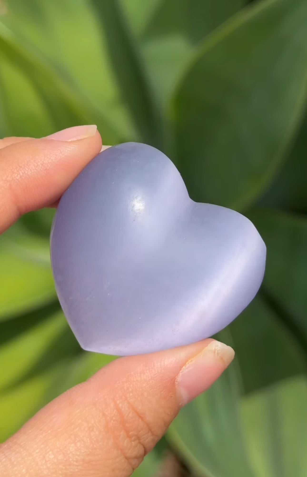 
                  
                    RESERVED LISTING - nadia_roman07
                  
                