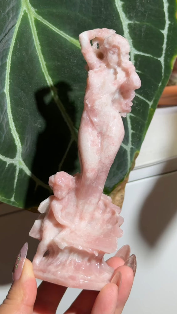 
                  
                    RESERVED LISTING - catniss_evergreen
                  
                