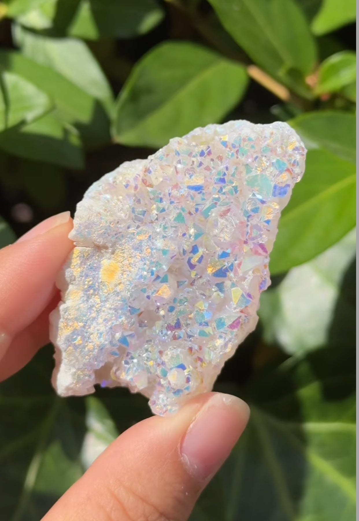 
                  
                    RESERVED LISTING - thatrockhoundgal
                  
                