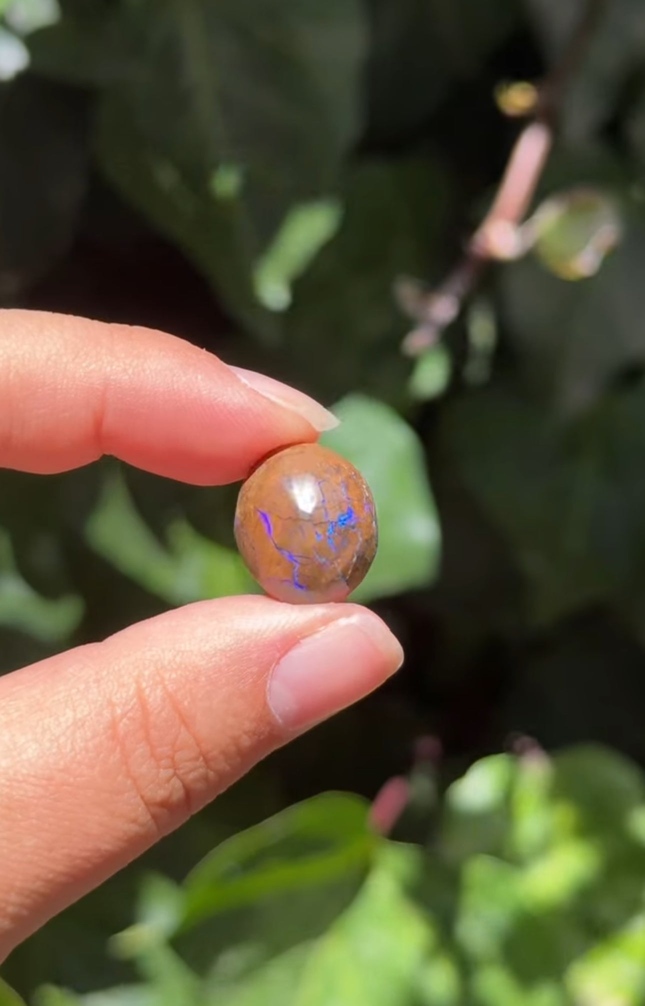 
                  
                    RESERVED LISTING - catniss_evergreen
                  
                