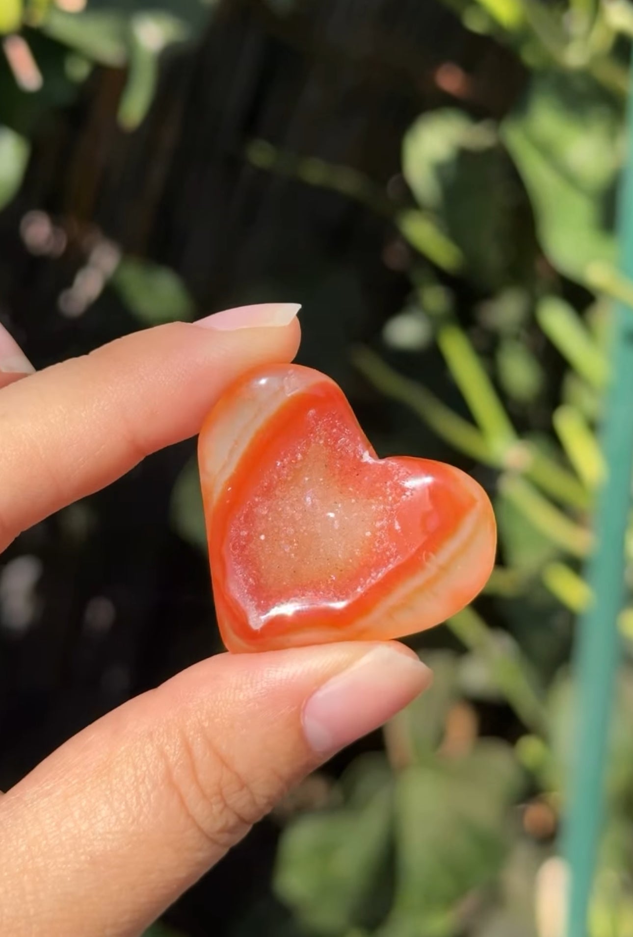 
                  
                    RESERVED LISTING - melty82
                  
                