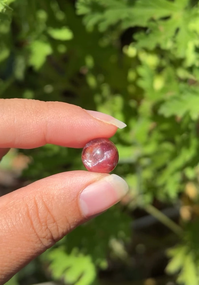 
                  
                    RESERVED LISTING - ghostofgabby
                  
                