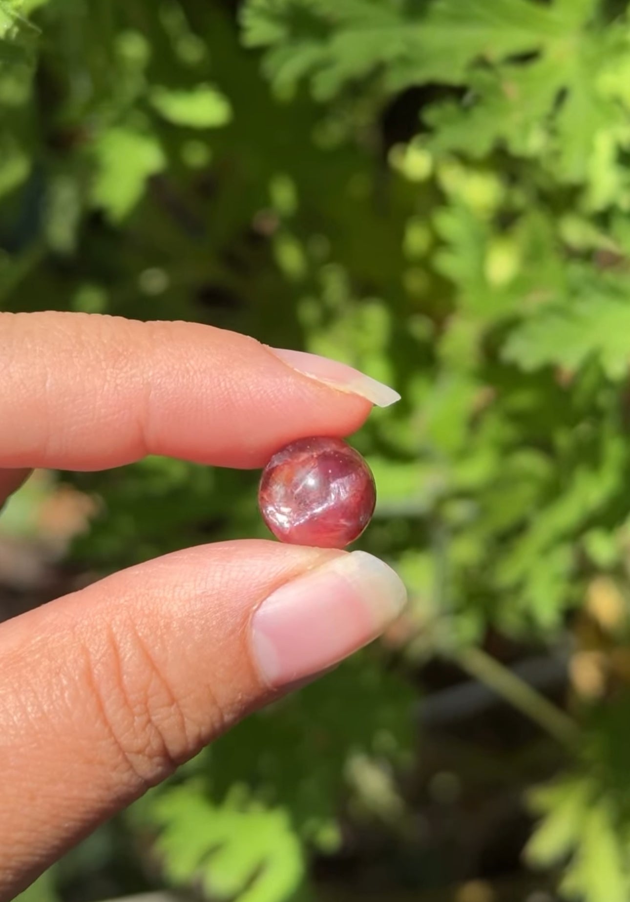 
                  
                    RESERVED LISTING - ghostofgabby
                  
                