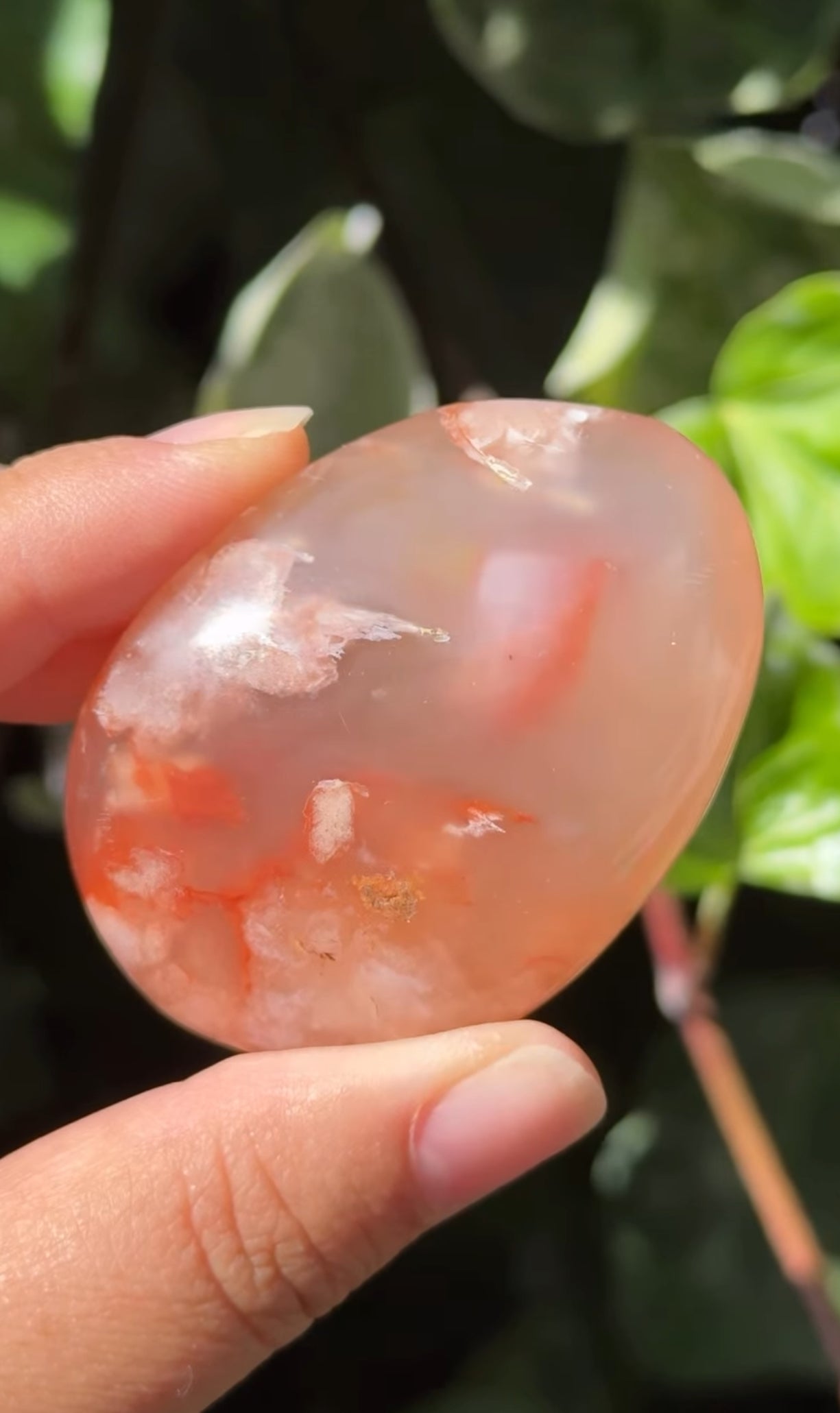 
                  
                    RESERVED LISTING - ak_miller226
                  
                