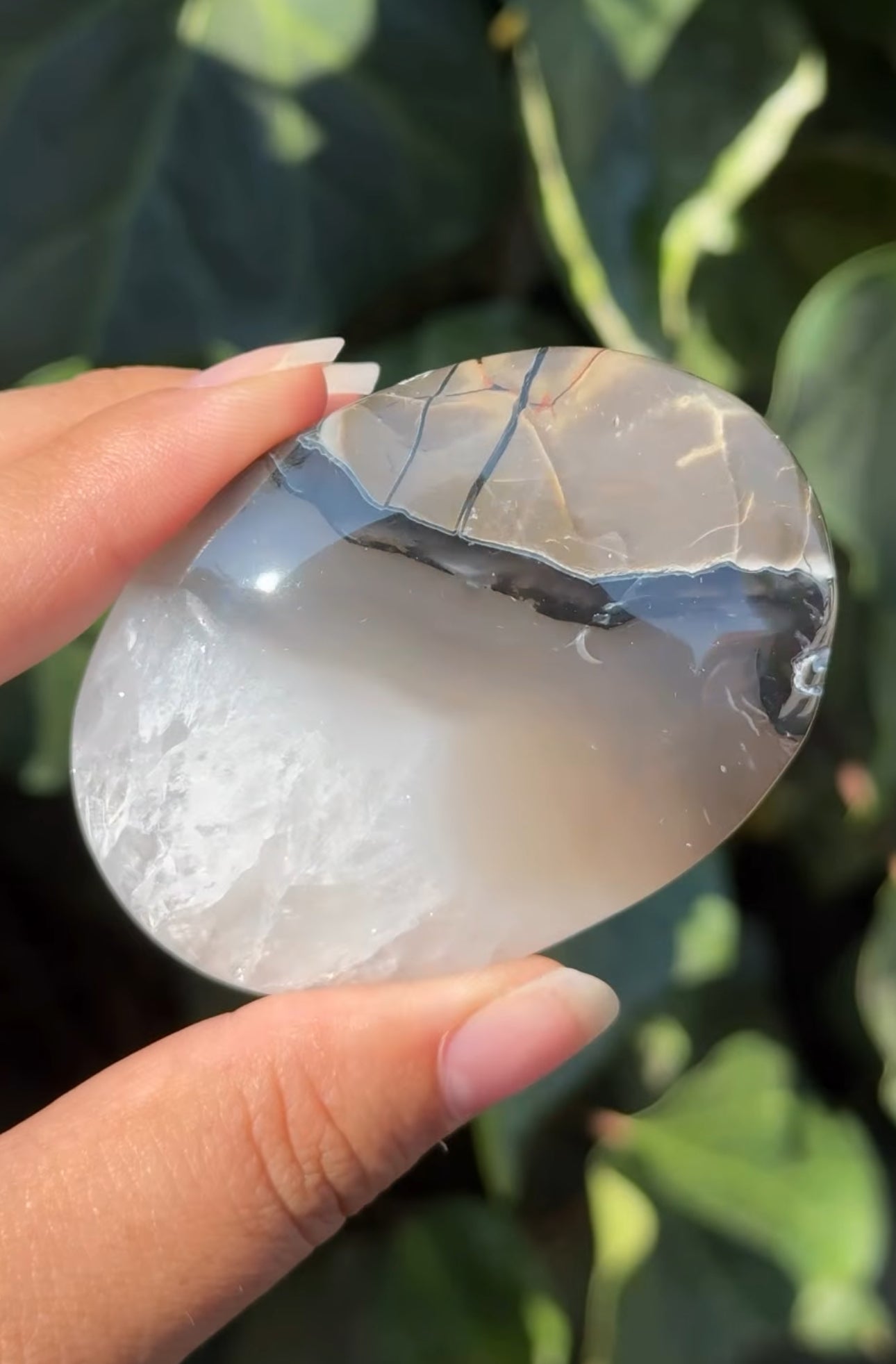 
                  
                    RESERVED LISTING - zombieboy69
                  
                