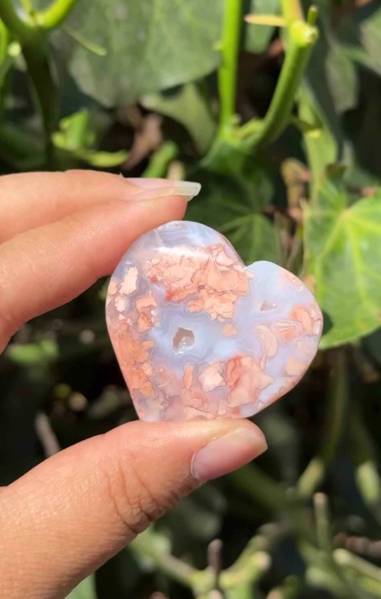 
                  
                    RESERVED LISTING - c_genesisallison87
                  
                