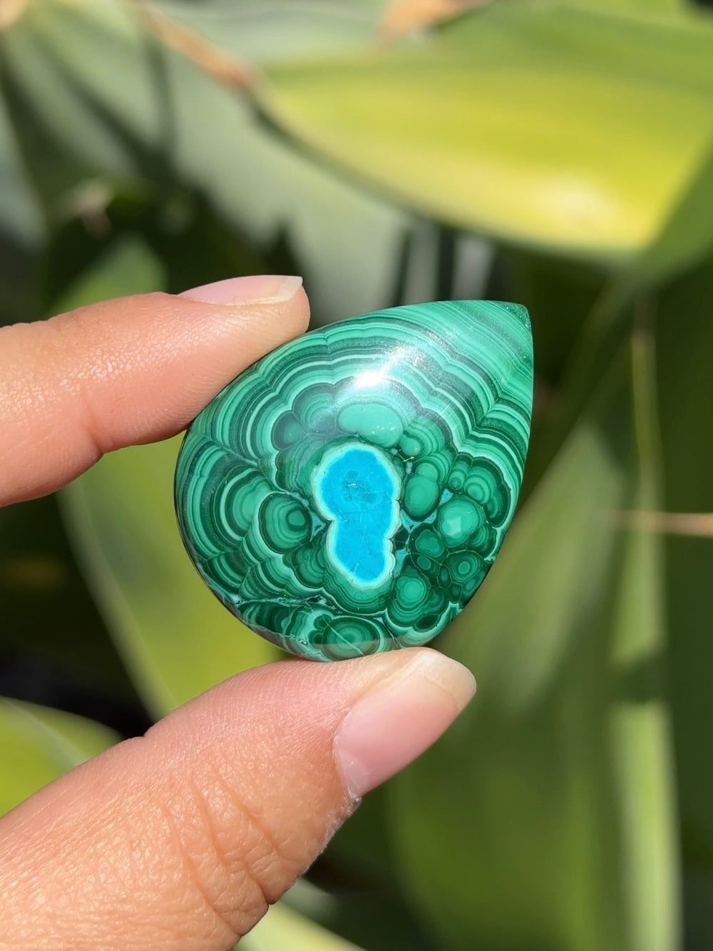 Malachite with Chrysocolla Cab