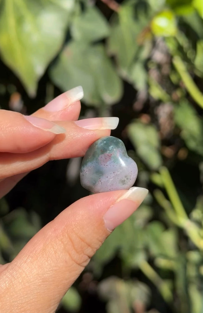 
                  
                    RESERVED LISTING - thorn_elan
                  
                