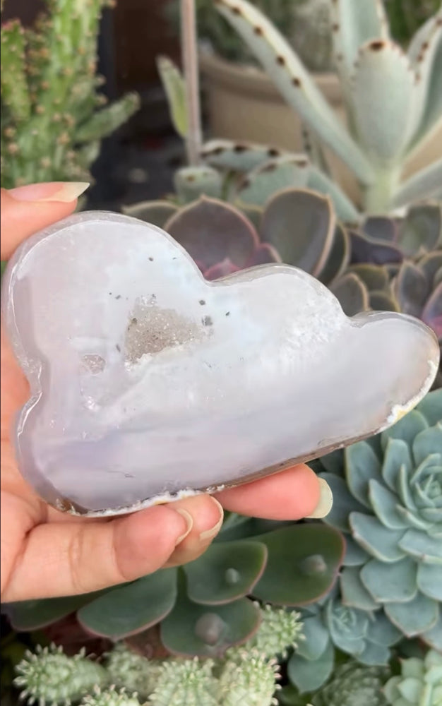 
                  
                    RESERVED LISTING - c_genesisallison87
                  
                