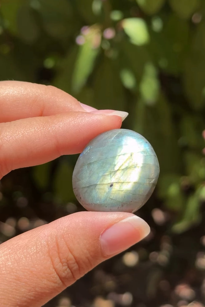 
                  
                    RESERVED LISTING - ghostofgabby
                  
                