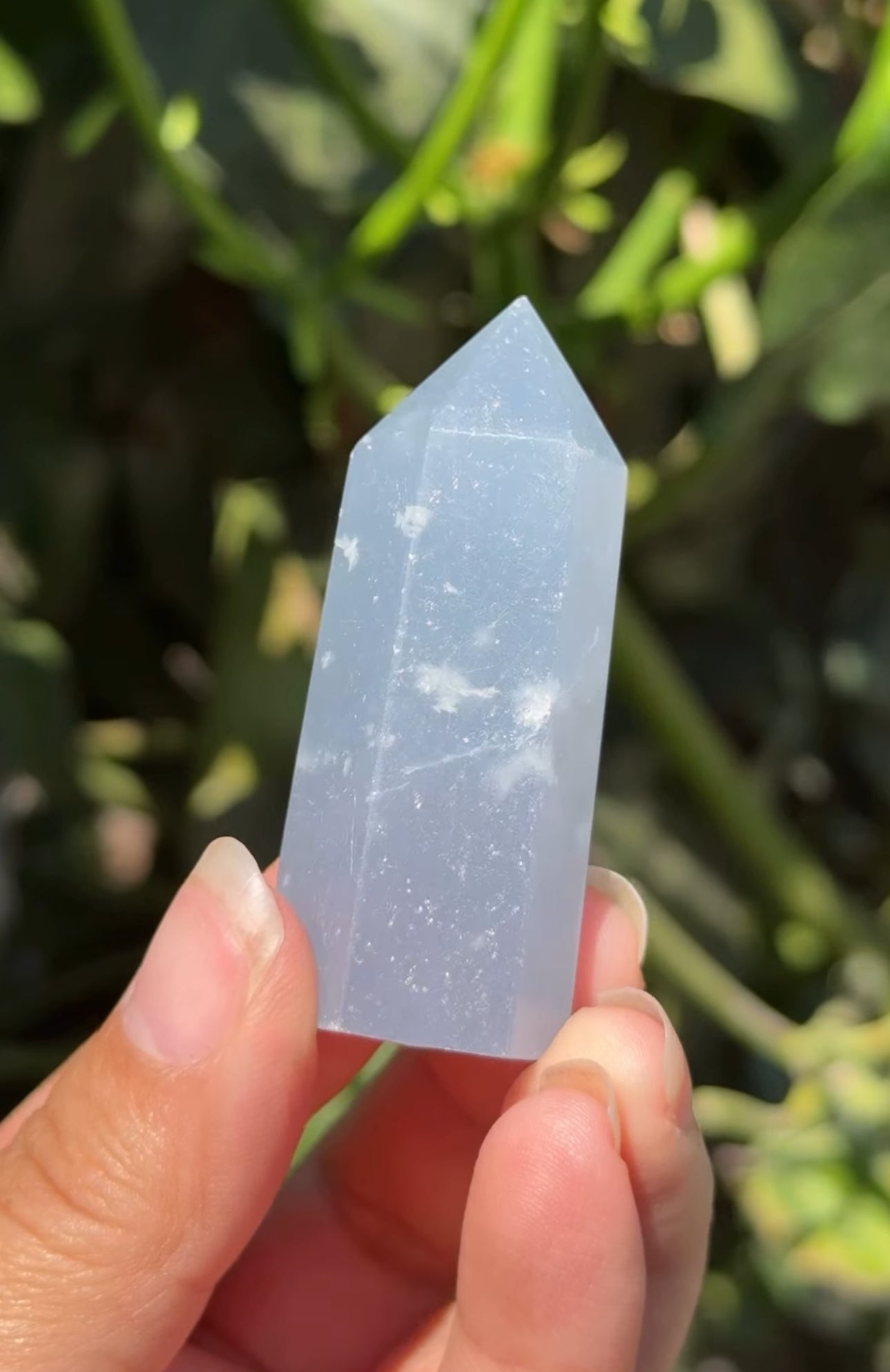 
                  
                    RESERVED LISTING - leftoverlexapro 3/4
                  
                