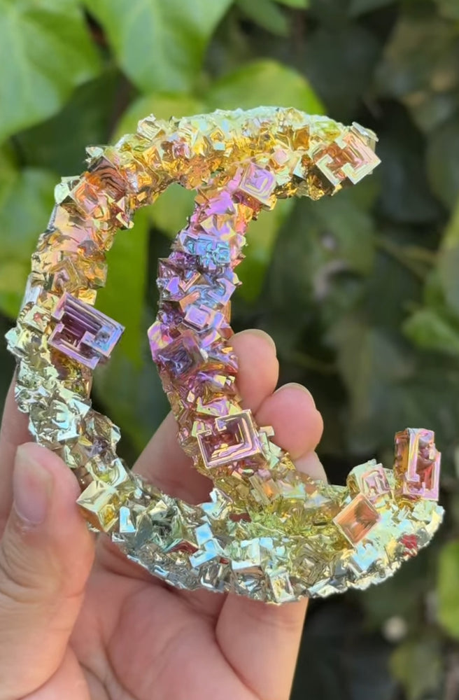 
                  
                    RESERVED LISTING - kelseyplanslife
                  
                