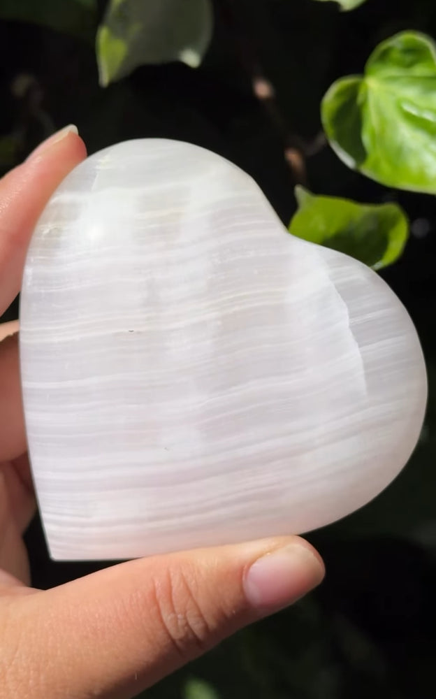 
                  
                    RESERVED LISTING - jval
                  
                