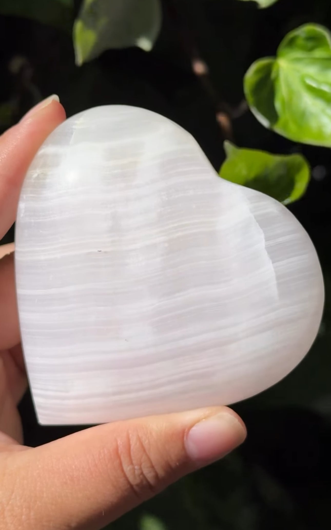 
                  
                    RESERVED LISTING - jval
                  
                