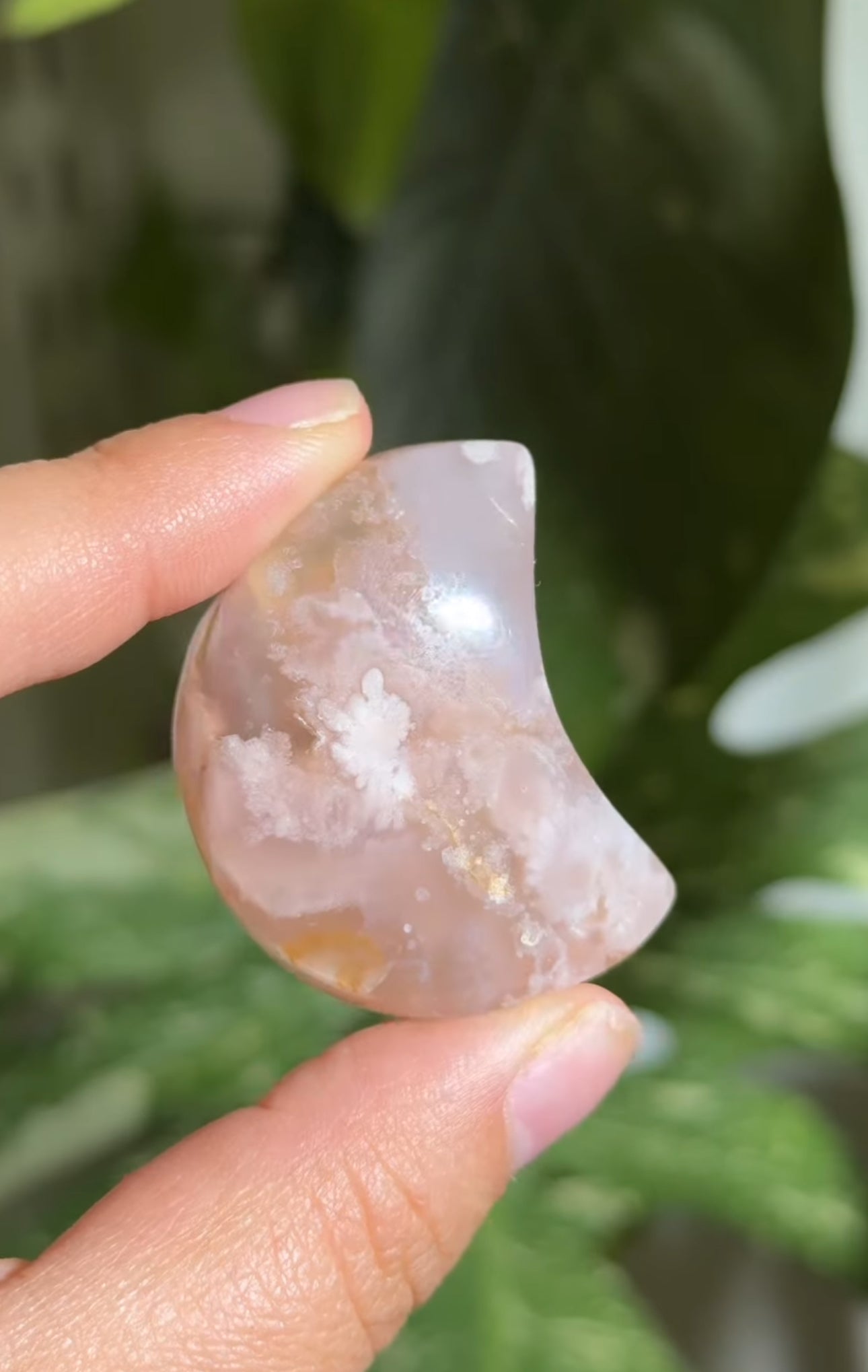 
                  
                    RESERVED LISTING - kc102620
                  
                