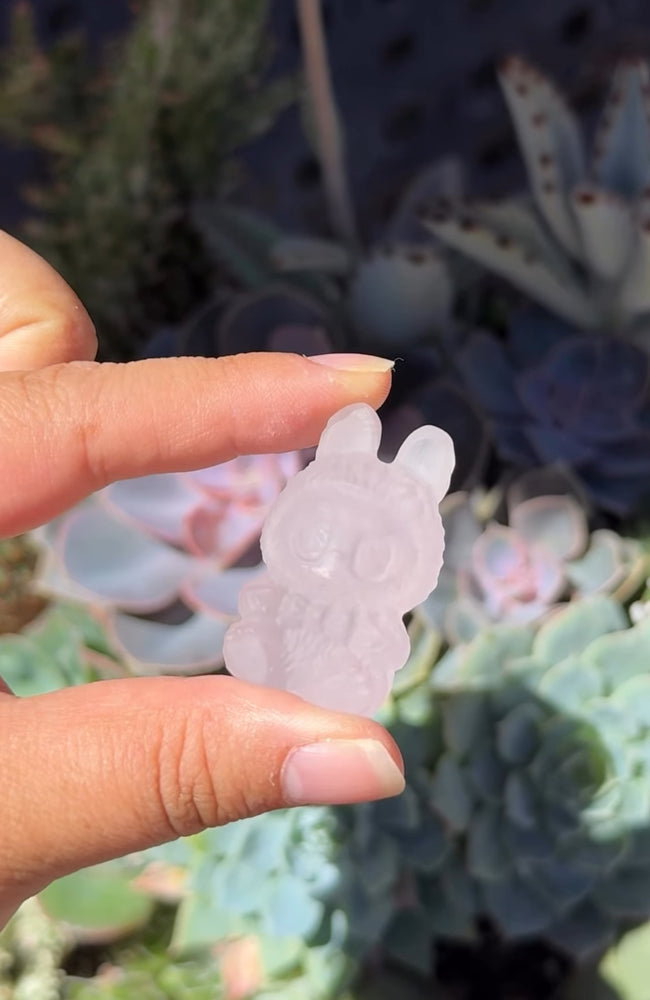 
                  
                    RESERVED LISTING - erinfetz
                  
                