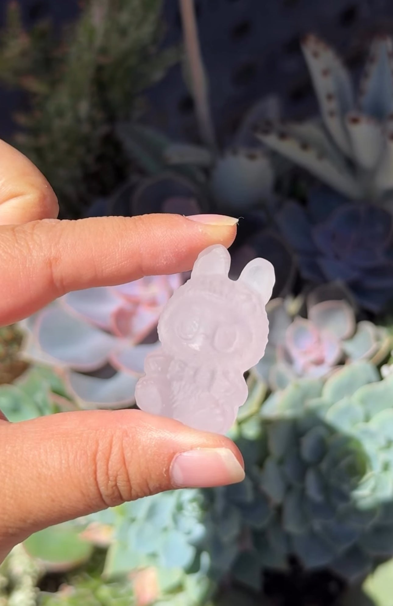 
                  
                    RESERVED LISTING - erinfetz
                  
                