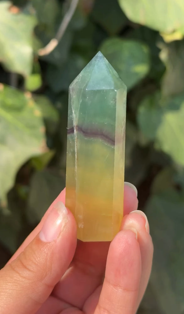 
                  
                    RESERVED LISTING - erinfetz
                  
                