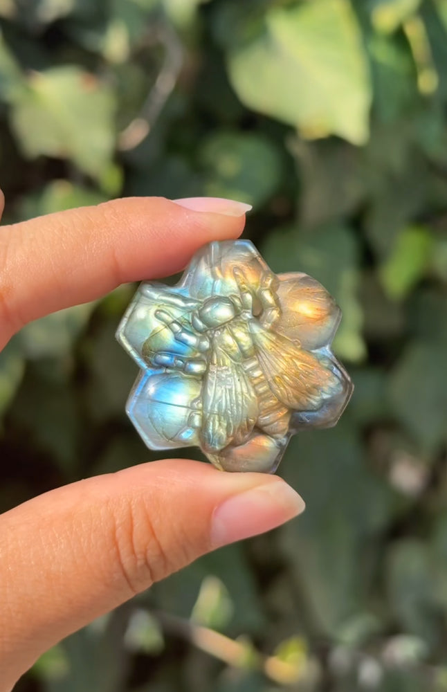 
                  
                    RESERVED LISTING - mickythiess
                  
                