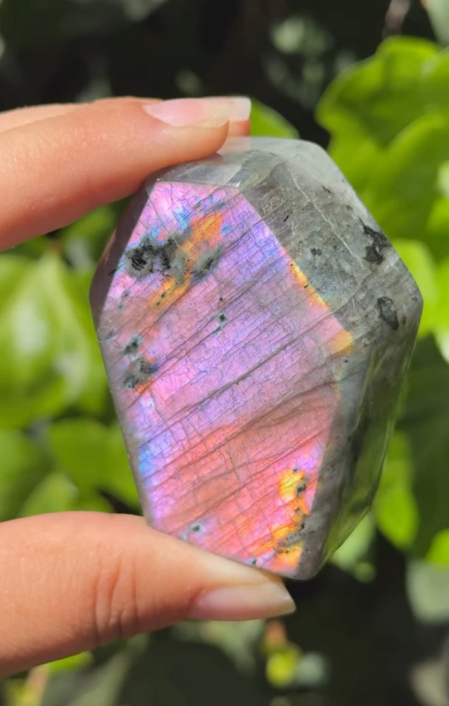 
                  
                    RESERVED LISTING - ghostofgabby
                  
                