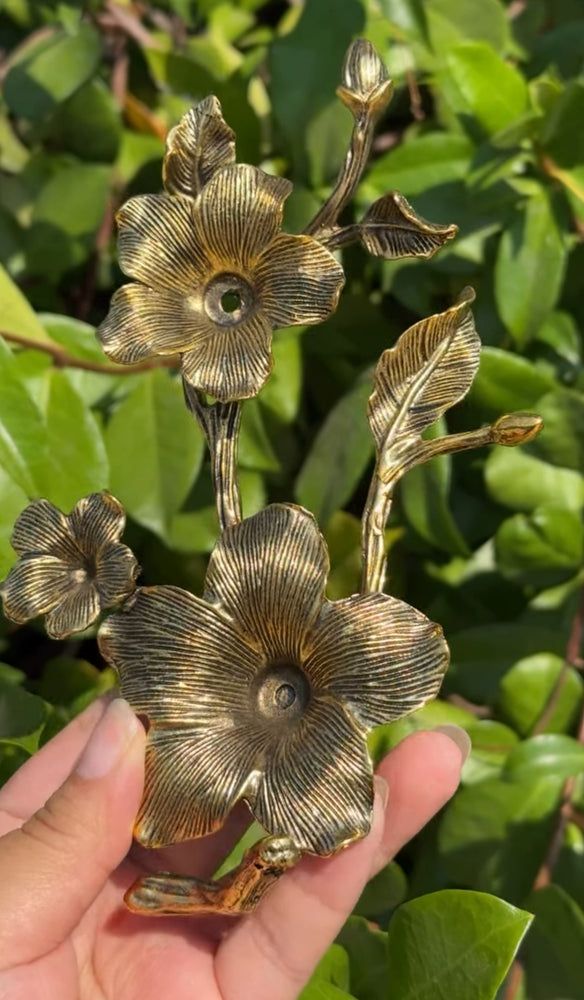 
                  
                    RESERVED LISTING - leftoverlexapro 3/4
                  
                