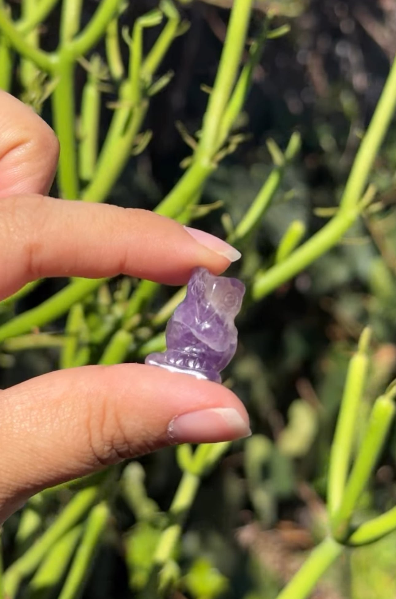 
                  
                    RESERVED LISTING - erinfetz
                  
                