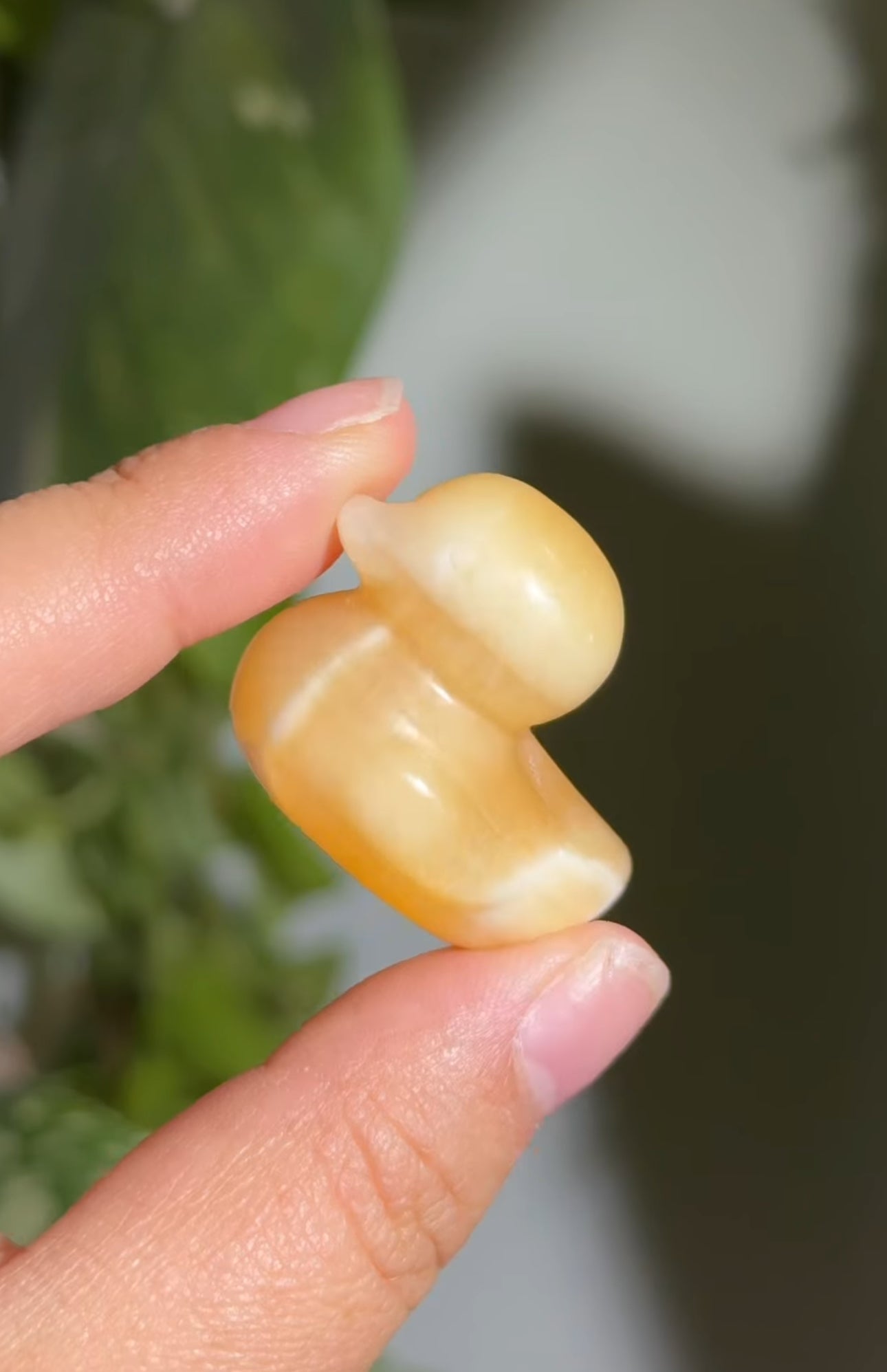 
                  
                    RESERVED LISTING - jval
                  
                