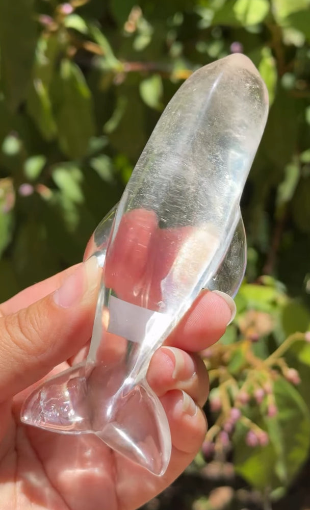 
                  
                    RESERVED LISTING - leftoverlexapro 3/4
                  
                