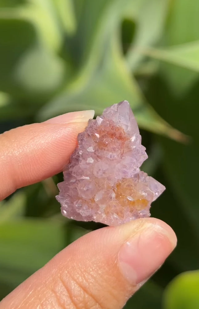 
                  
                    RESERVED LISTING - rae_in_wonderland
                  
                